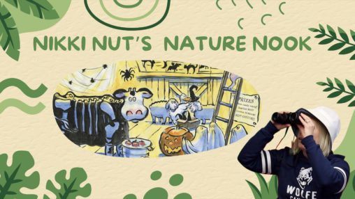 Image of Nikki Nut's Nature Nook