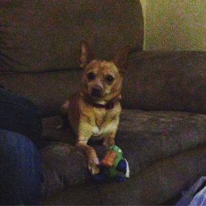 Image of Trevor without lighting