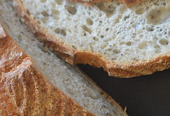 Sourdough bread photo